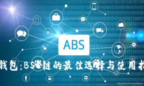 TP钱包：BSC链的最佳选择与使用指南