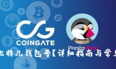 如何查询比特儿钱包号？详细指南与常见问题解