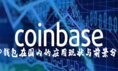 TP钱包在国内的应用现状与前景分析