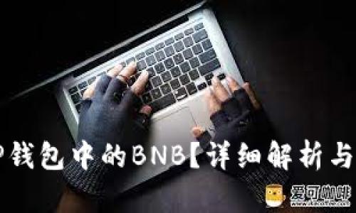 什么是TP钱包中的BNB？详细解析与使用指南