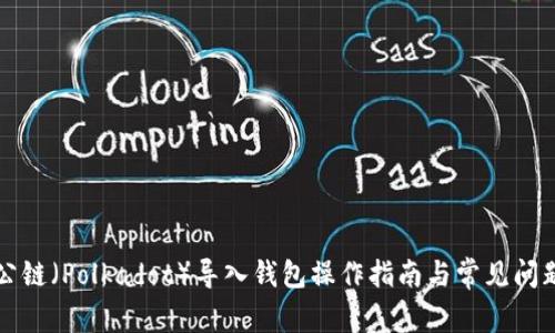 波尔公链（Polkadot）导入钱包操作指南与常见问题解析