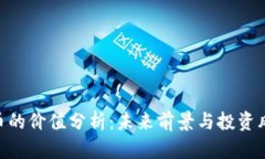 Pi币的价值分析：未来前景与投资风险