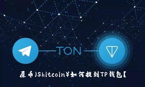 屎币（Shitcoin）如何提到TP钱包？