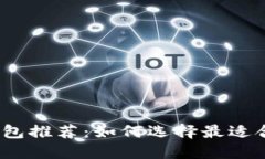 数字货币钱包推荐：如何