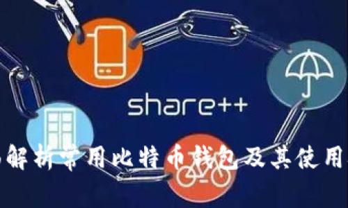 全面解析常用比特币钱包及其使用技巧