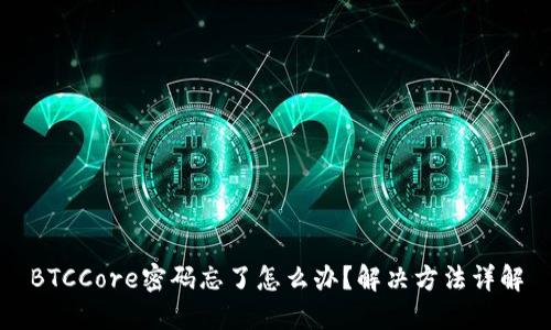 BTCCore密码忘了怎么办？解决方法详解