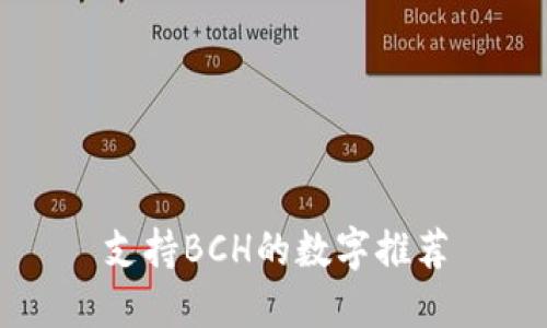 支持BCH的数字推荐